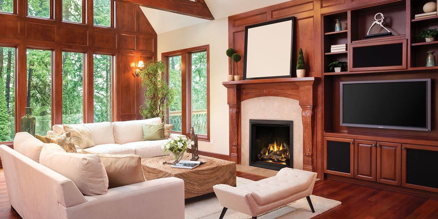 Napoleon Elevation™ X Series Fireplace