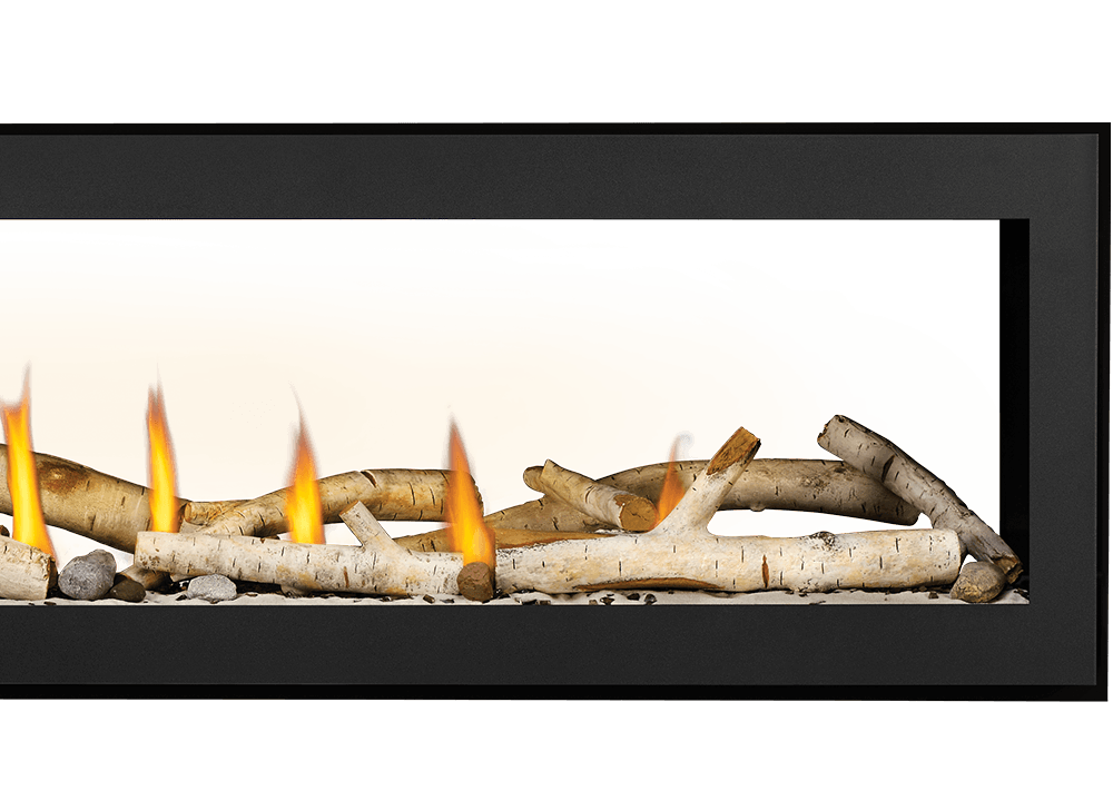 Napoleon Vector Series Fireplace